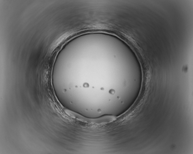 X0000115771163200911271133