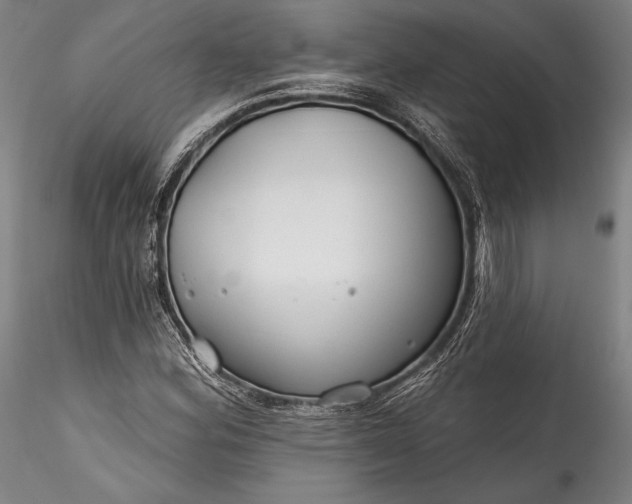 X0000115771164200911271133
