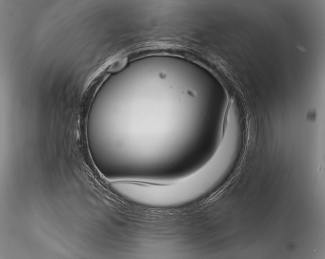X0000115771165200911271133