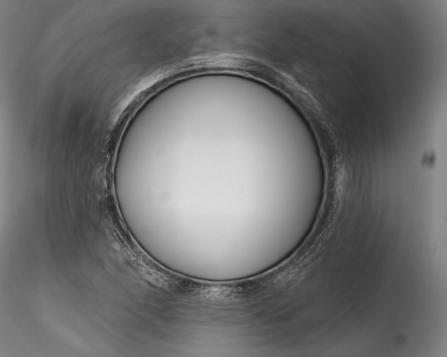 X0000115771166200911271133