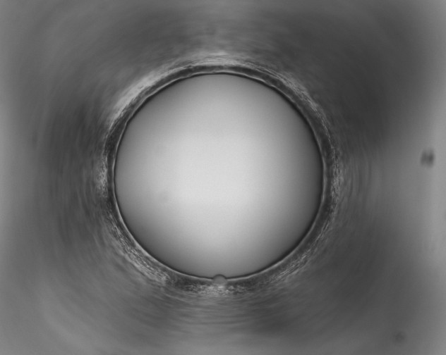 X0000115771167200911271133