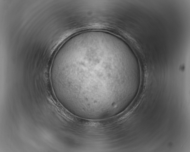 X0000115771170200911271133