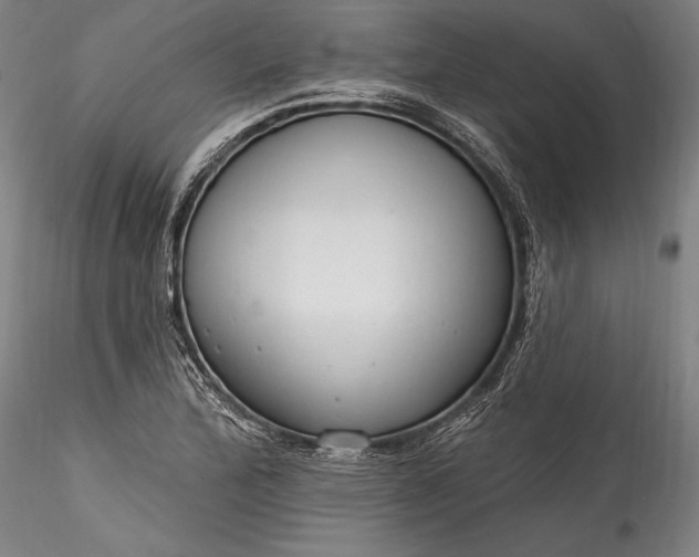 X0000115771172200911271133