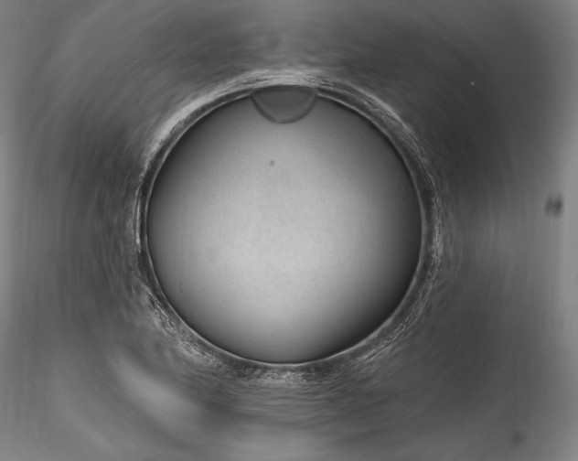 X0000115771174200911271133