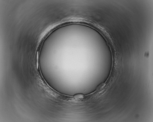 X0000115771175200911271133