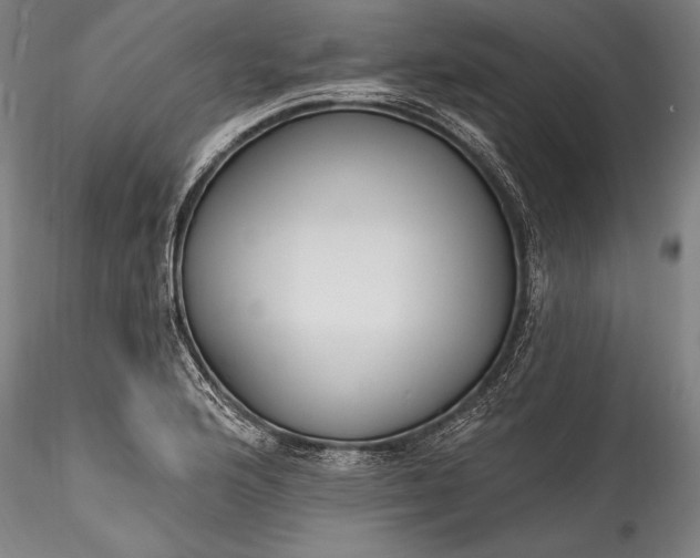 X0000115771176200911271133