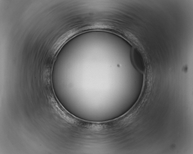 X0000115771177200911271133