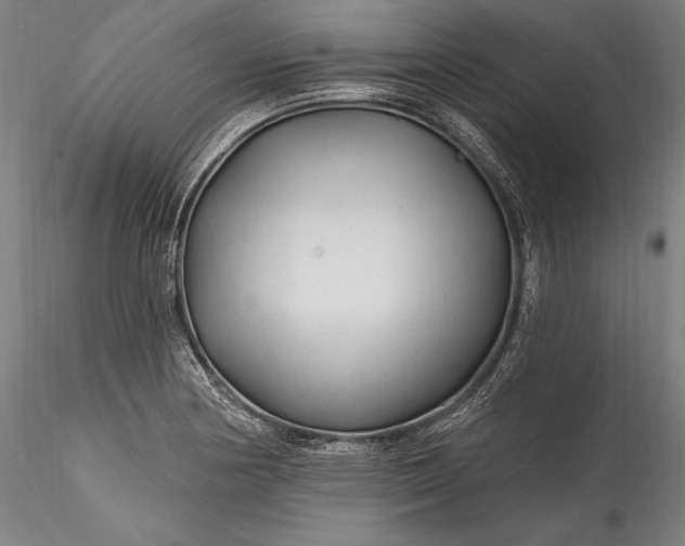 X0000115771178200911271133