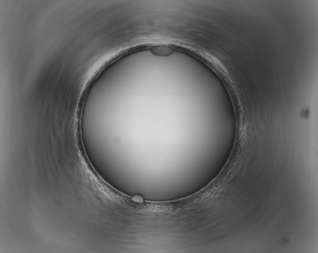 X0000115771183200911271133