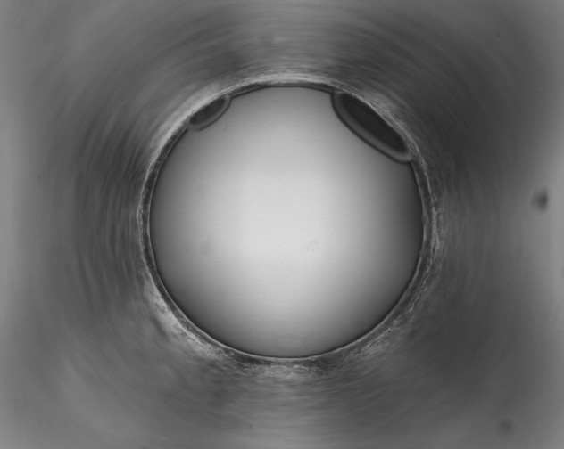 X0000115771189200911271133