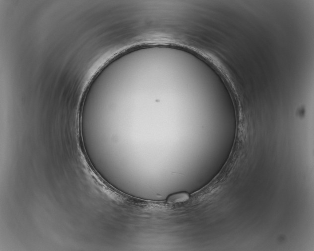 X0000115771191200911271133
