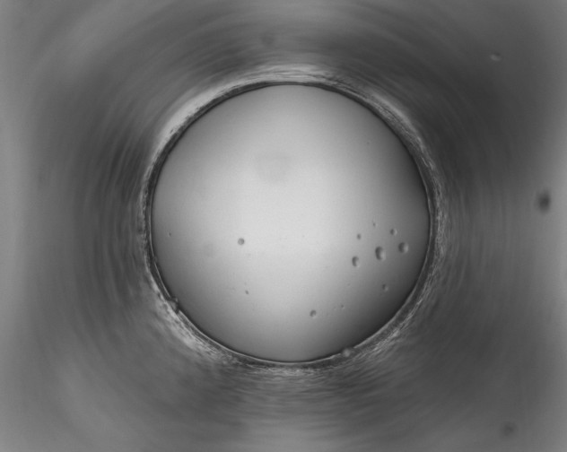 X0000115771192200911271133