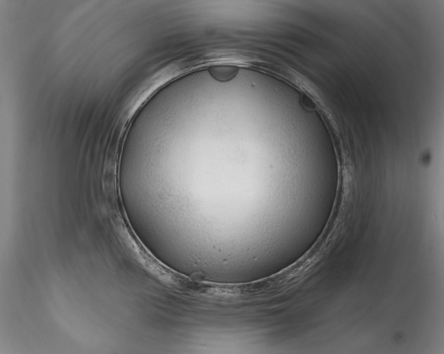 X0000115771194200911271133