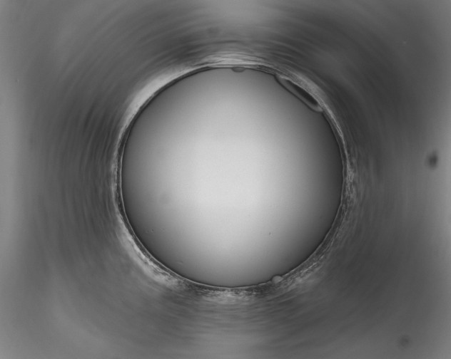X0000115771195200911271133