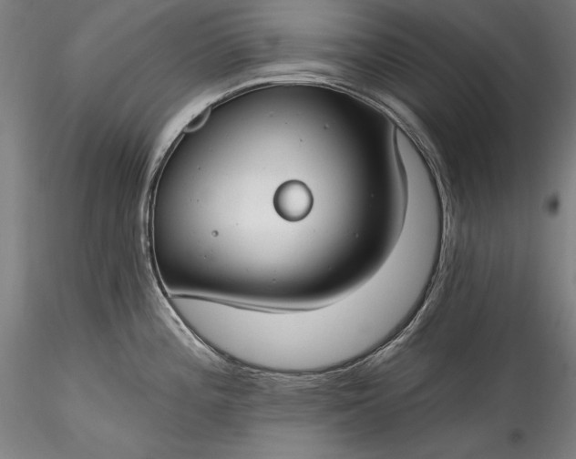 X0000115771196200911271133