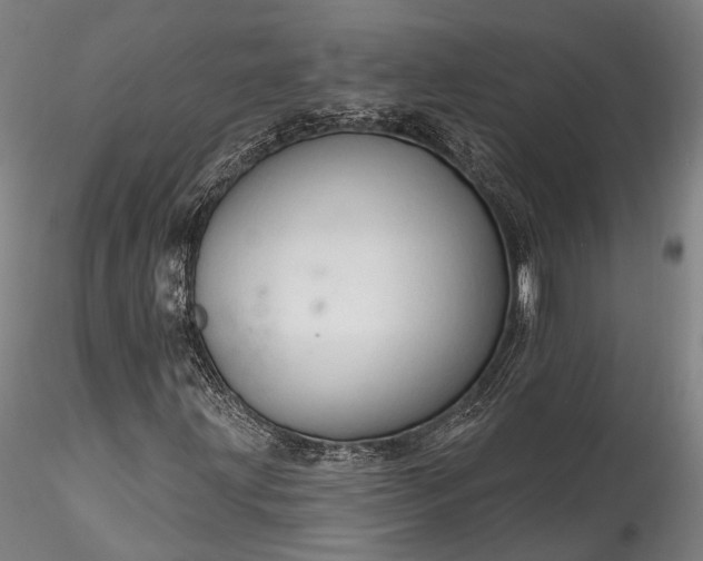 X0000115771203200911271132