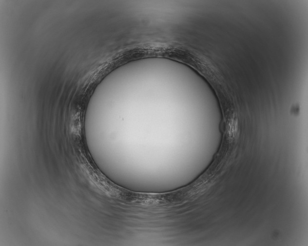 X0000115771204200911271132