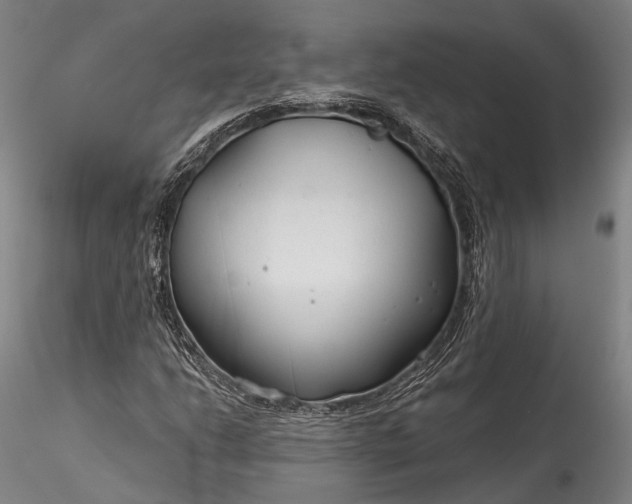 X0000115771206200911271132
