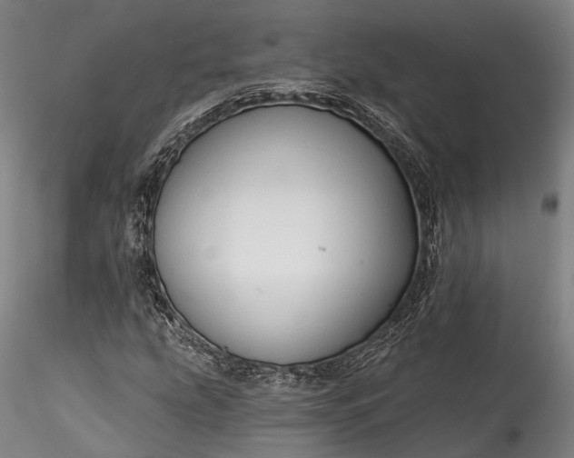 X0000115771207200911271132