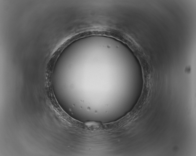 X0000115771208200911271132
