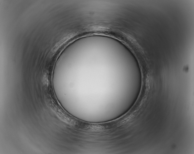 X0000115771209200911271132