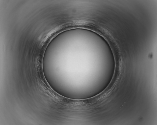 X0000115771210200911271132