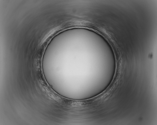 X0000115771211200911271132
