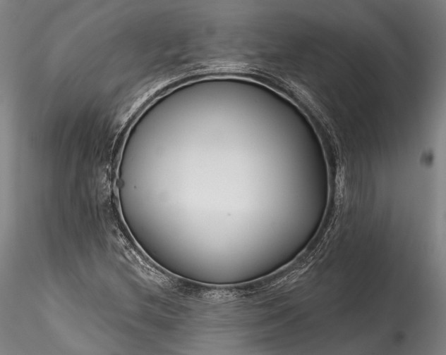 X0000115771212200911271132