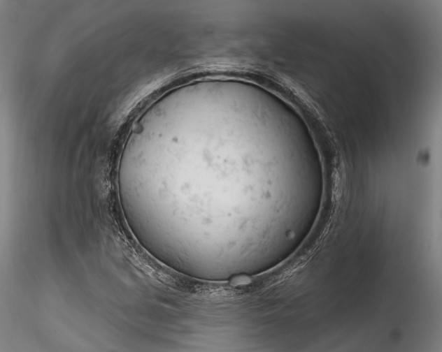 X0000115771213200911271132