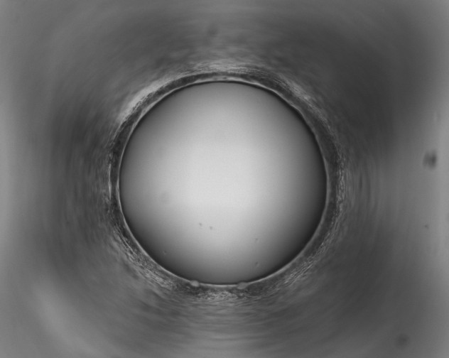 X0000115771214200911271132