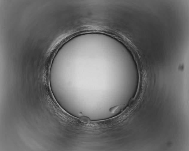 X0000115771215200911271132