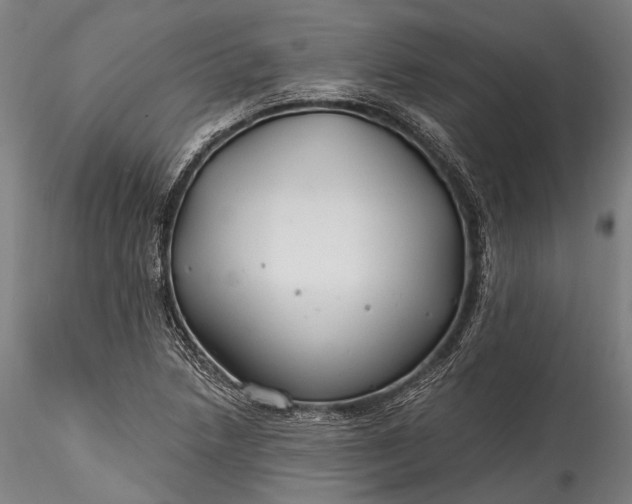 X0000115771218200911271132