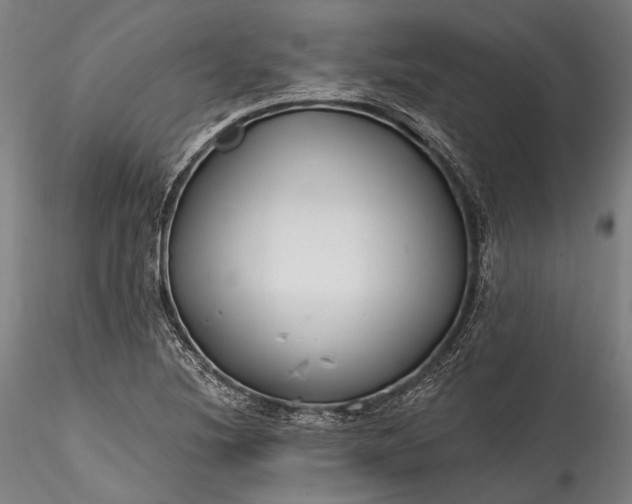 X0000115771220200911271132