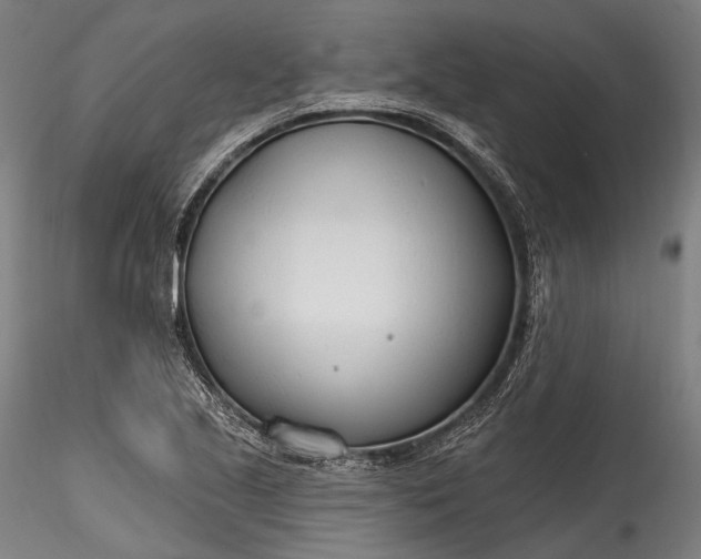 X0000115771221200911271132