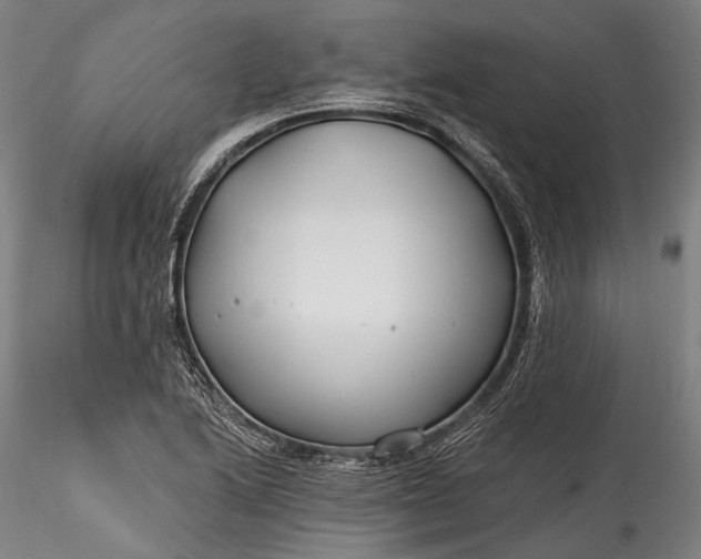 X0000115771222200911271132