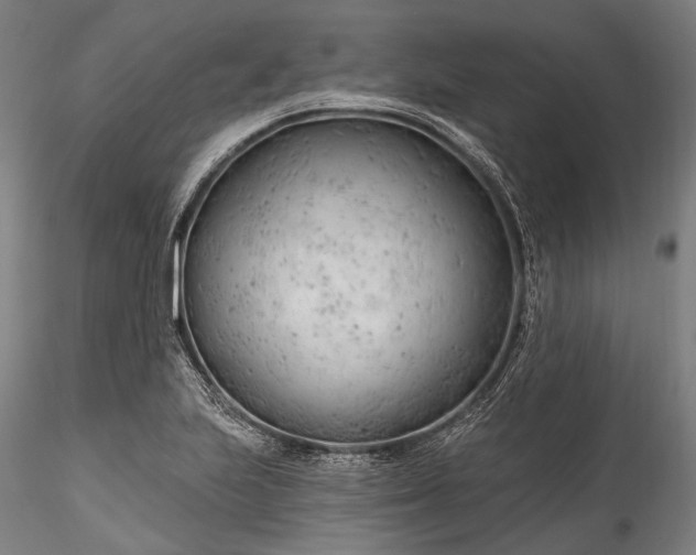 X0000115771223200911271132