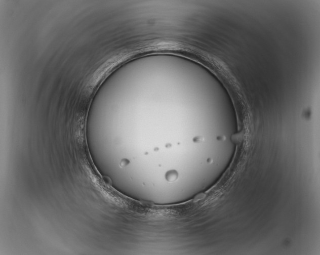 X0000115771225200911271132