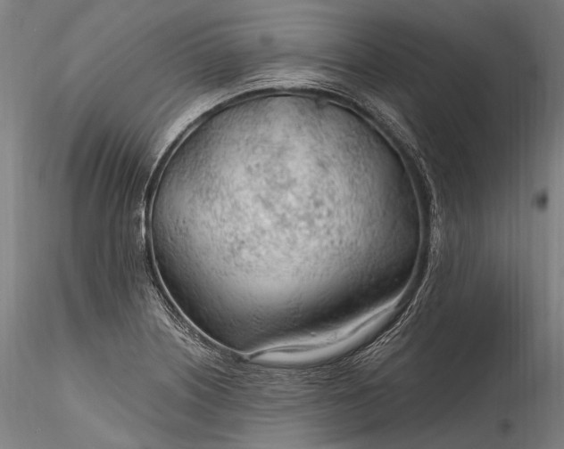 X0000115771226200911271132