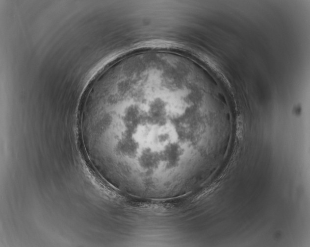 X0000115771229200911271132