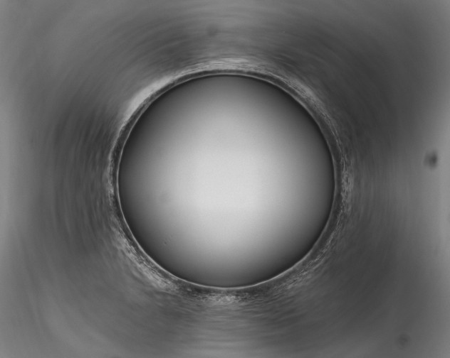 X0000115771230200911271132