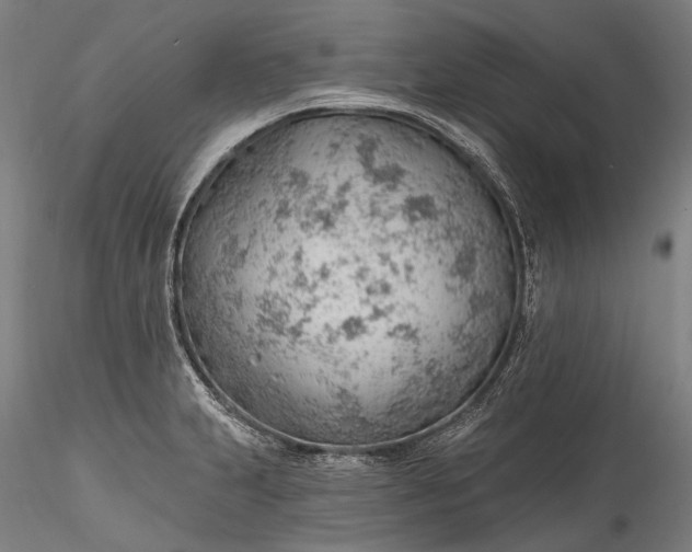 X0000115771231200911271132