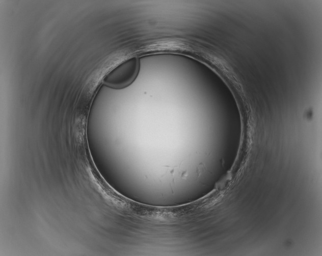 X0000115771233200911271132