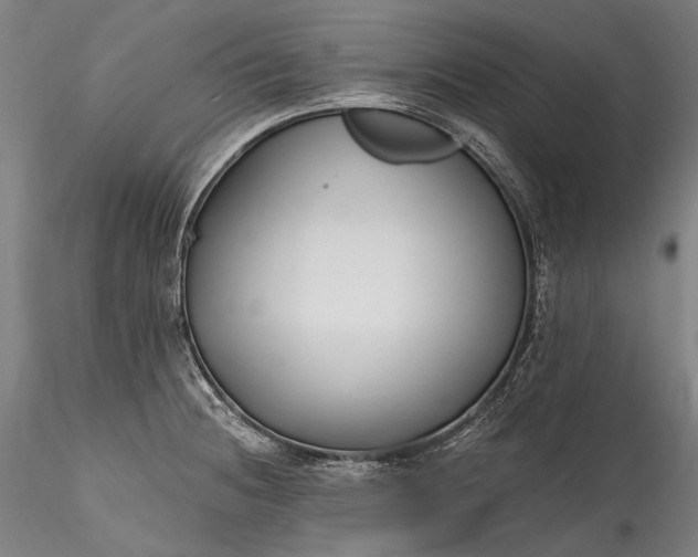 X0000115771236200911271132