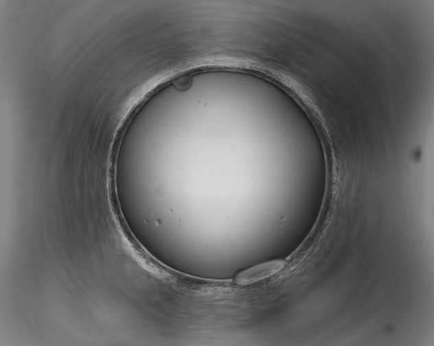 X0000115771237200911271132
