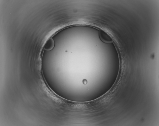 X0000115771238200911271132