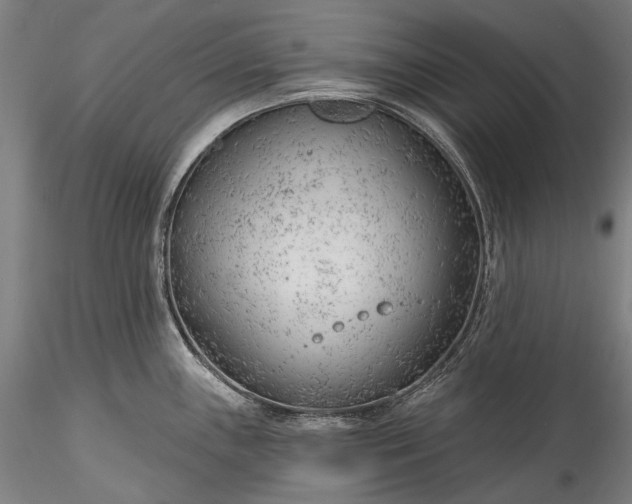 X0000115771243200911271133