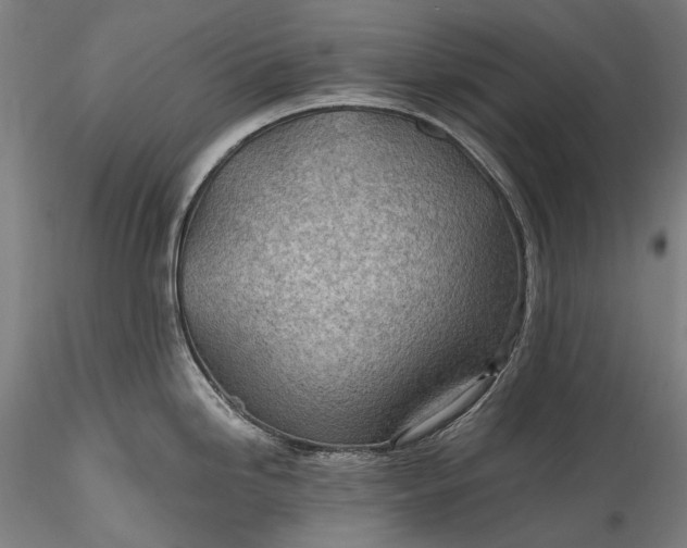 X0000115771246200911271133