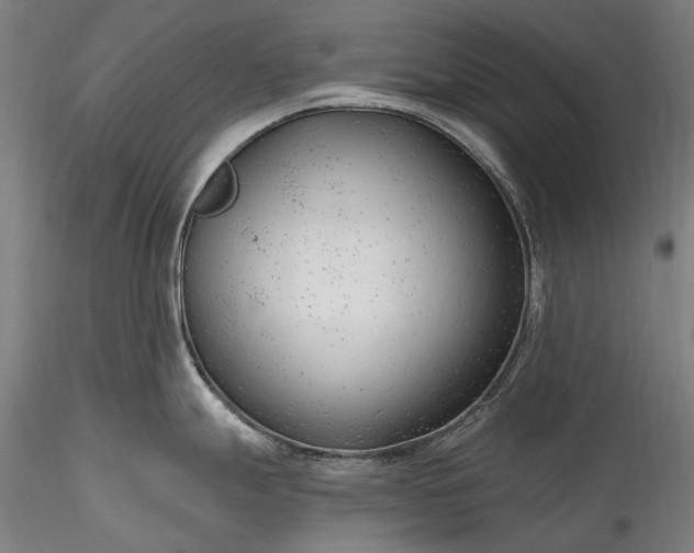 X0000115771247200911271133