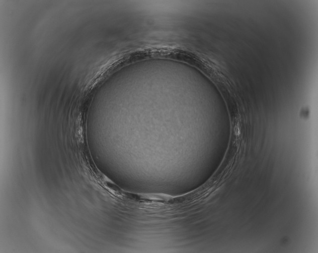 X0000115771252200911271132