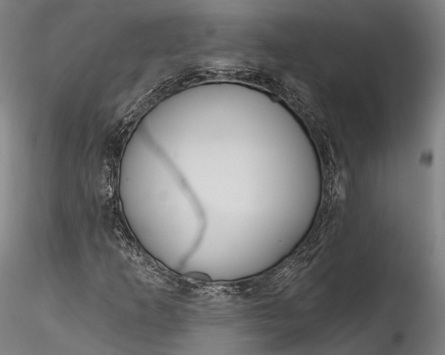X0000115771253200911271132